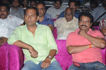 Hora Hori Movie Audio Launch